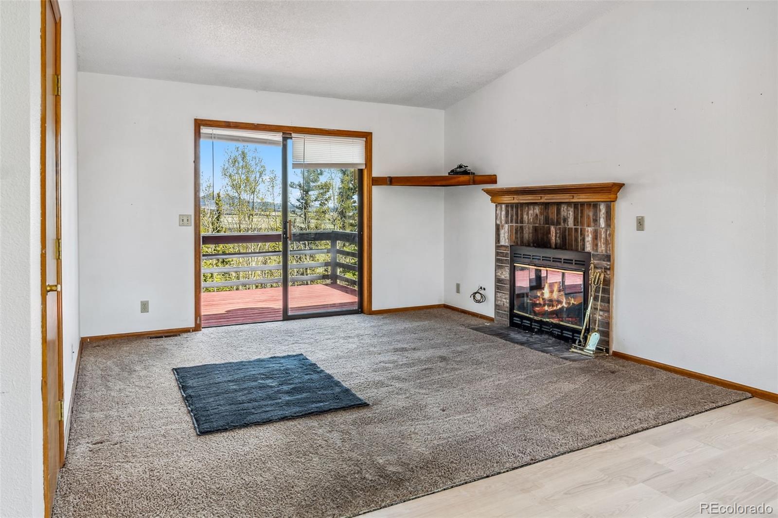 MLS Image #37 for 681  sheep ridge road,fairplay, Colorado