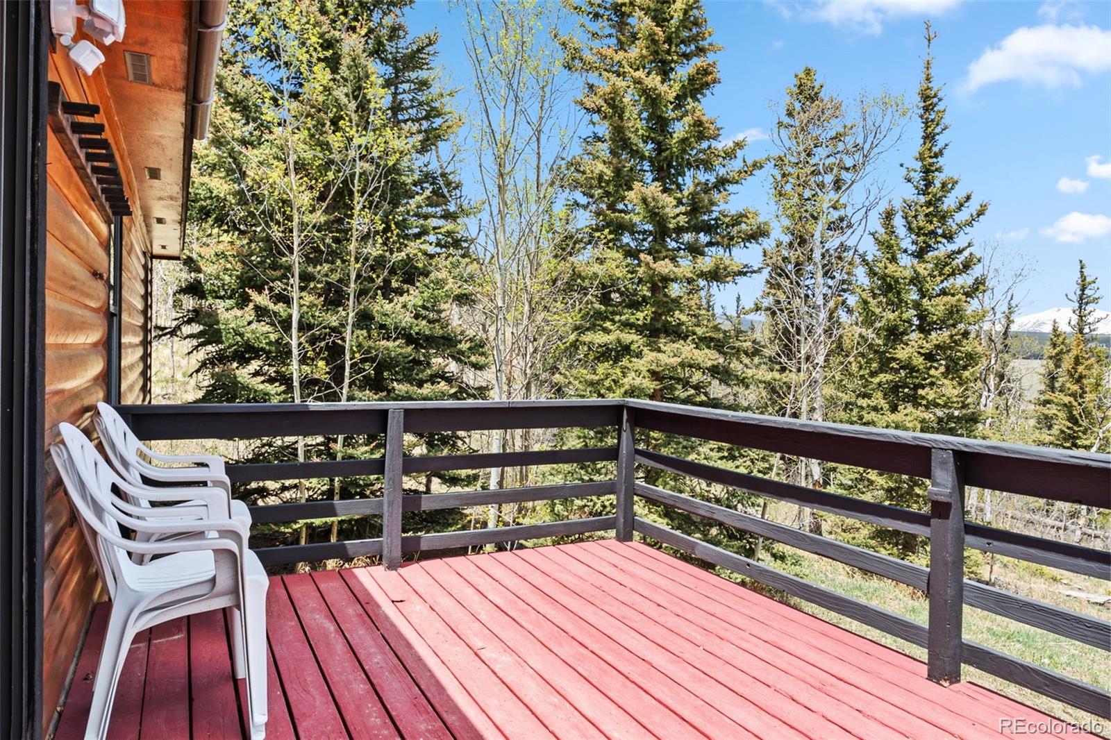 MLS Image #42 for 681  sheep ridge road,fairplay, Colorado