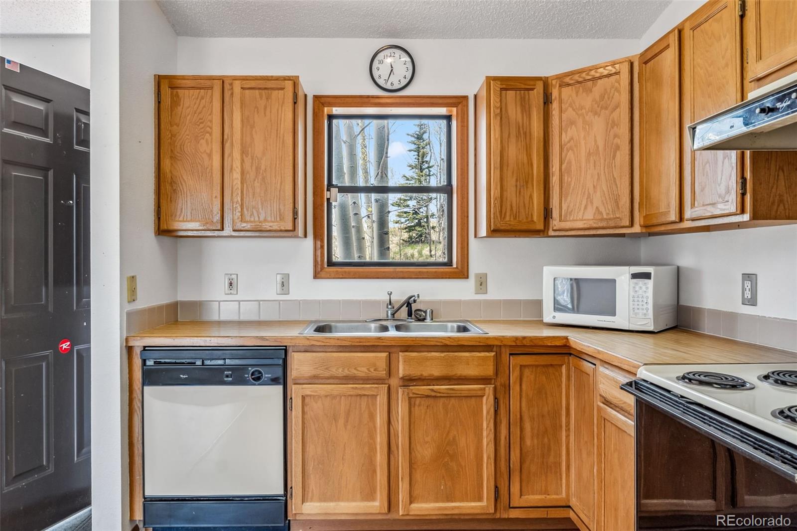 MLS Image #7 for 681  sheep ridge road,fairplay, Colorado