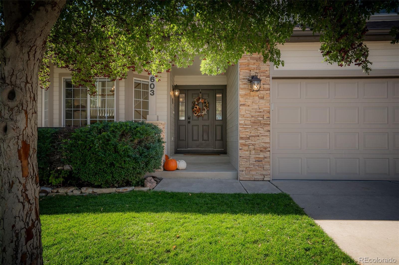 CMA Image for 4965  poleplant drive,Colorado Springs, Colorado