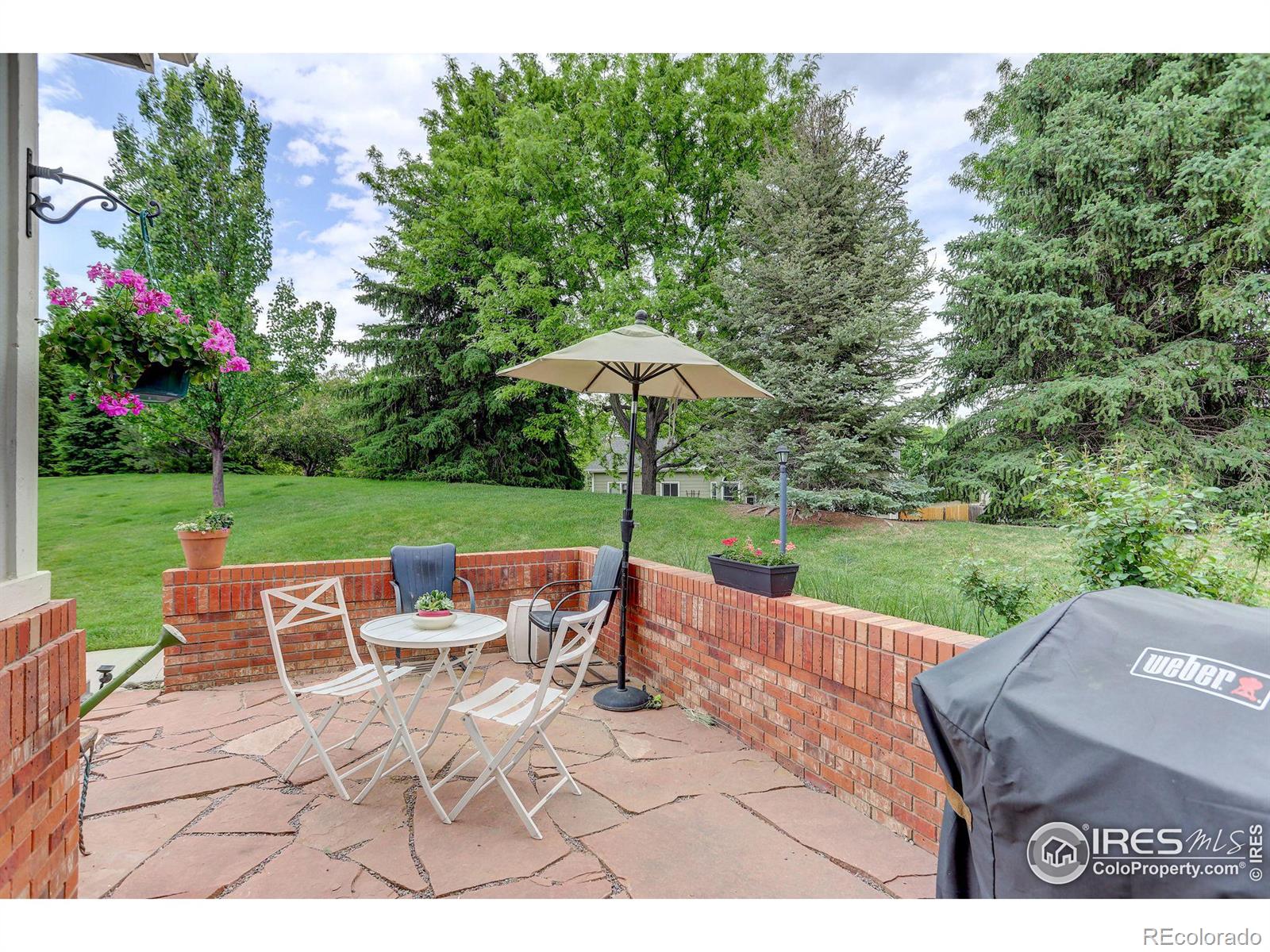 MLS Image #5 for 4500  seneca street,fort collins, Colorado