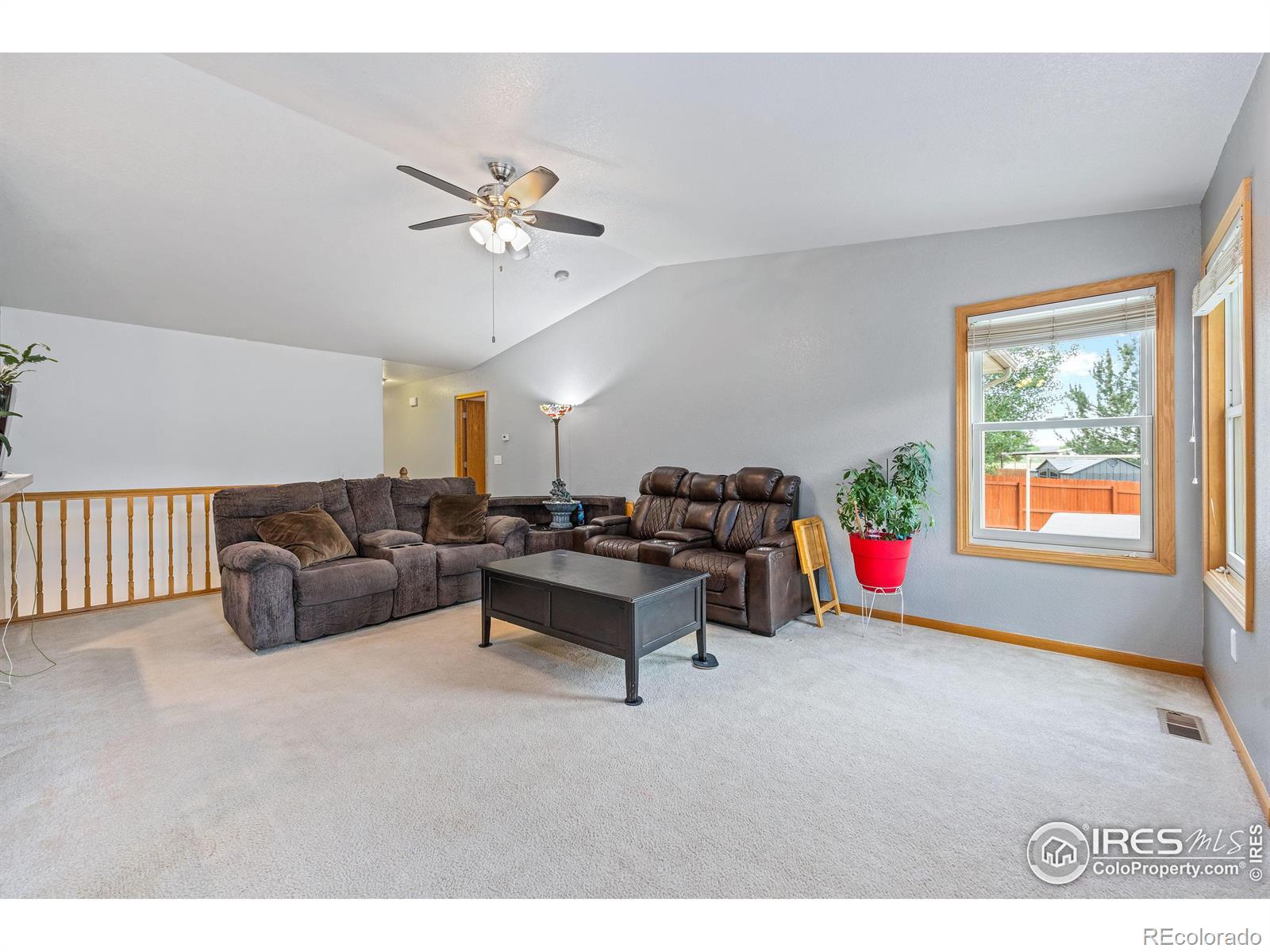 MLS Image #5 for 479  cardinal avenue,loveland, Colorado