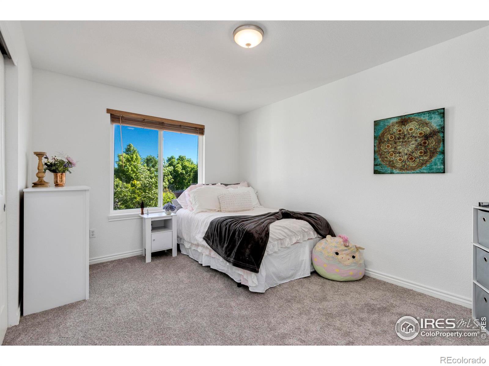 MLS Image #14 for 2615  brush creek drive,fort collins, Colorado