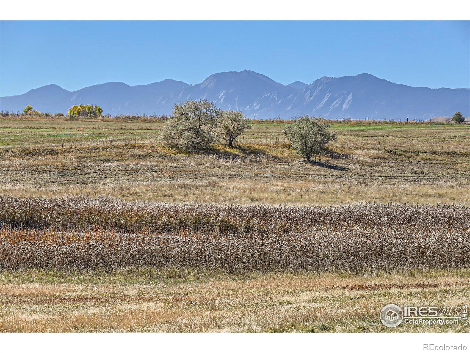 MLS Image #20 for 6860  nelson road,longmont, Colorado