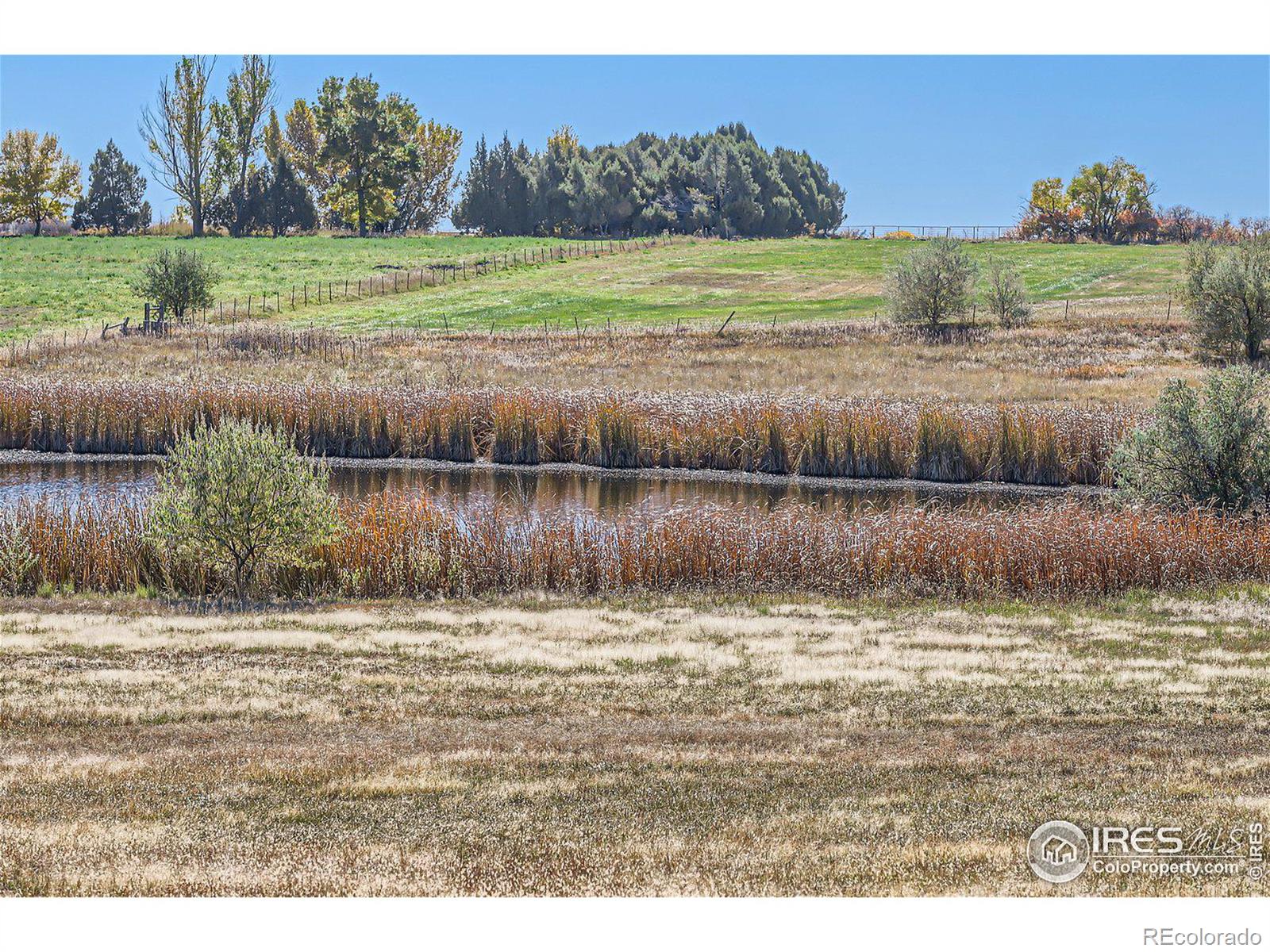 MLS Image #21 for 6860  nelson road,longmont, Colorado