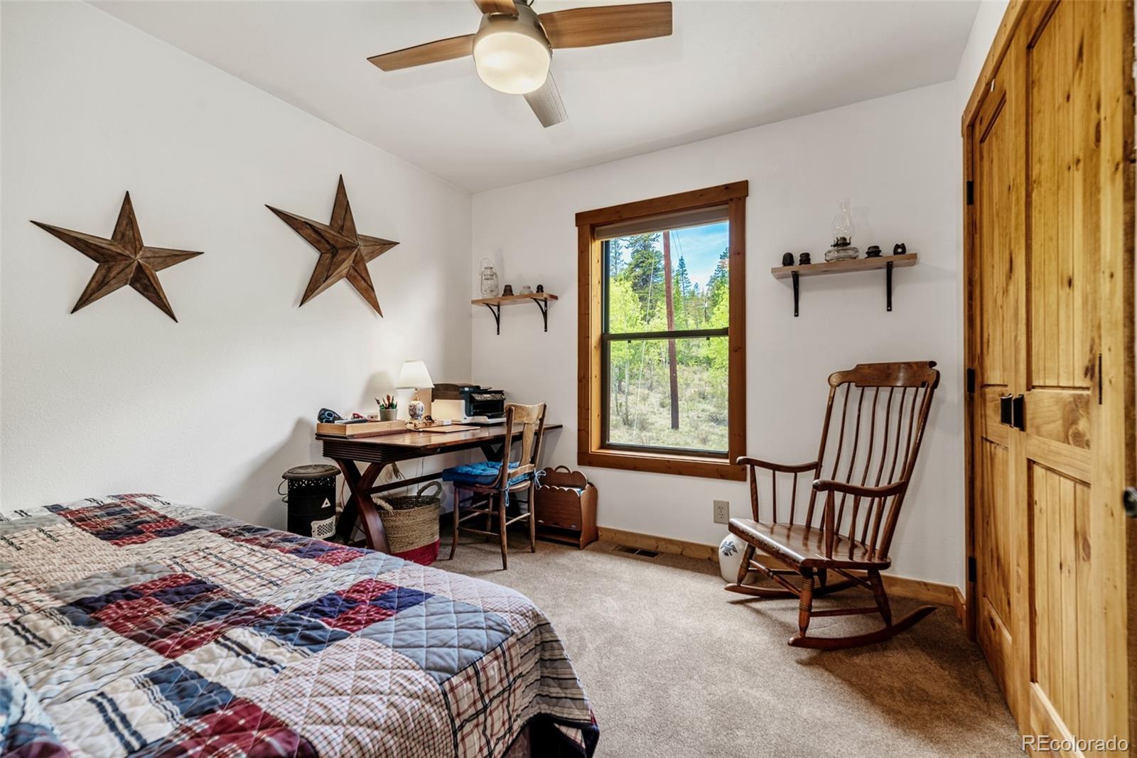 MLS Image #20 for 126  fen court,fairplay, Colorado