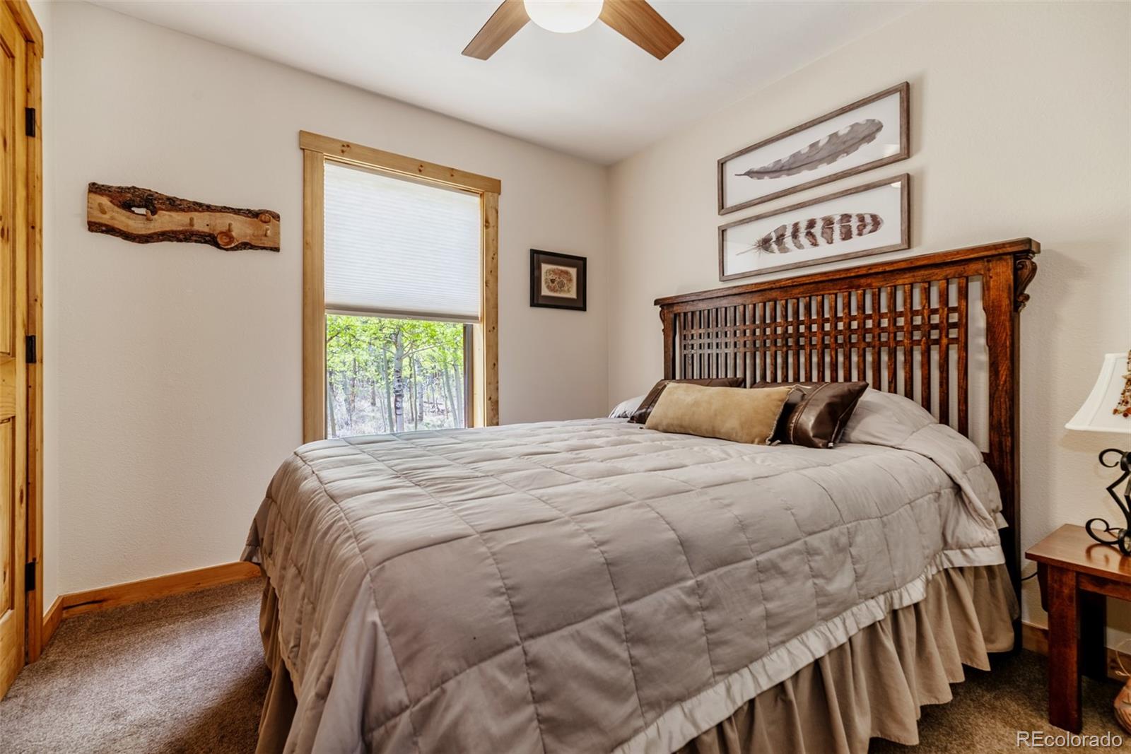 MLS Image #25 for 126  fen court,fairplay, Colorado