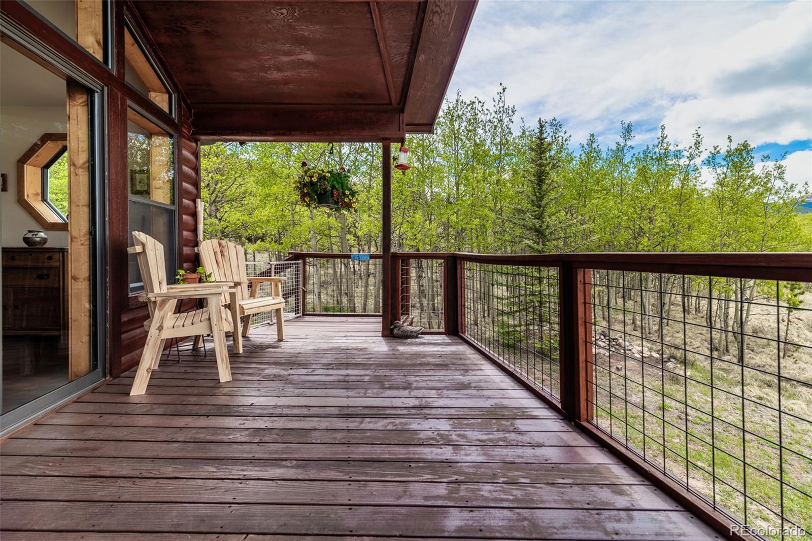 MLS Image #29 for 126  fen court,fairplay, Colorado