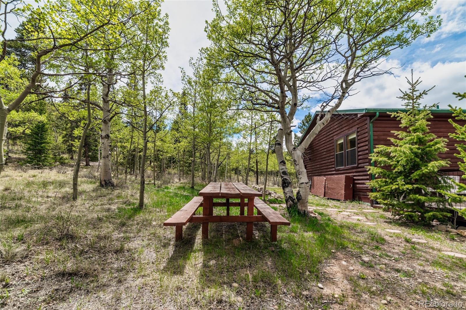 MLS Image #35 for 126  fen court,fairplay, Colorado