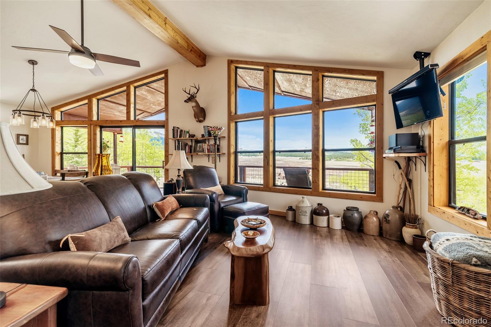 MLS Image #6 for 126  fen court,fairplay, Colorado