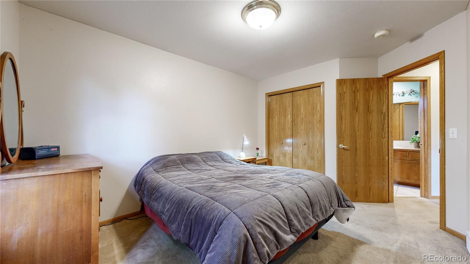 MLS Image #10 for 272  riker court,loveland, Colorado