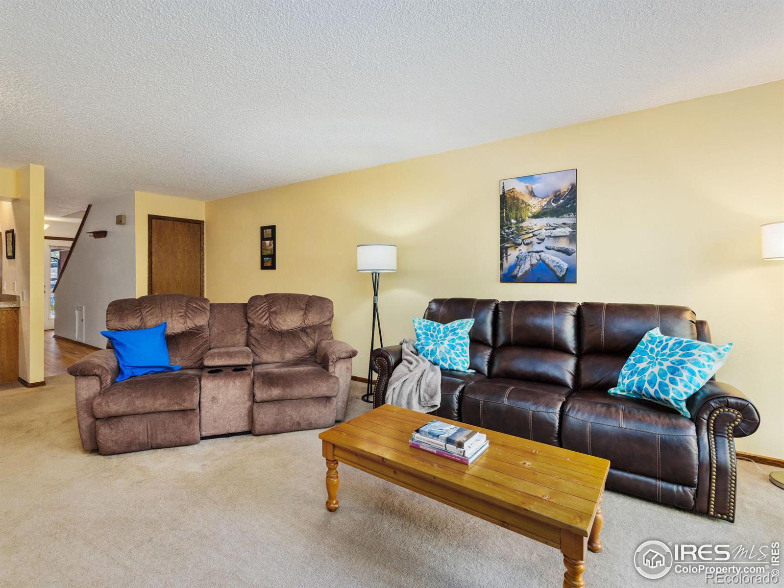 MLS Image #12 for 640  macgregor avenue,estes park, Colorado