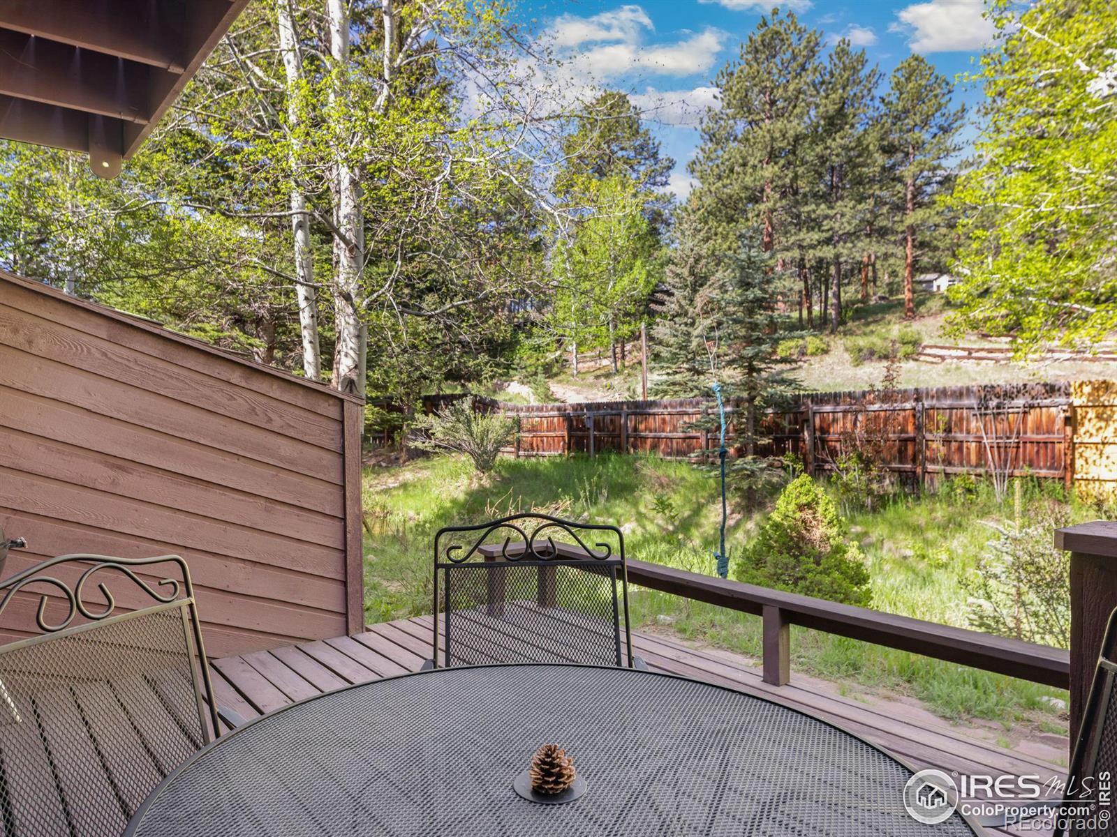 MLS Image #29 for 640  macgregor avenue,estes park, Colorado