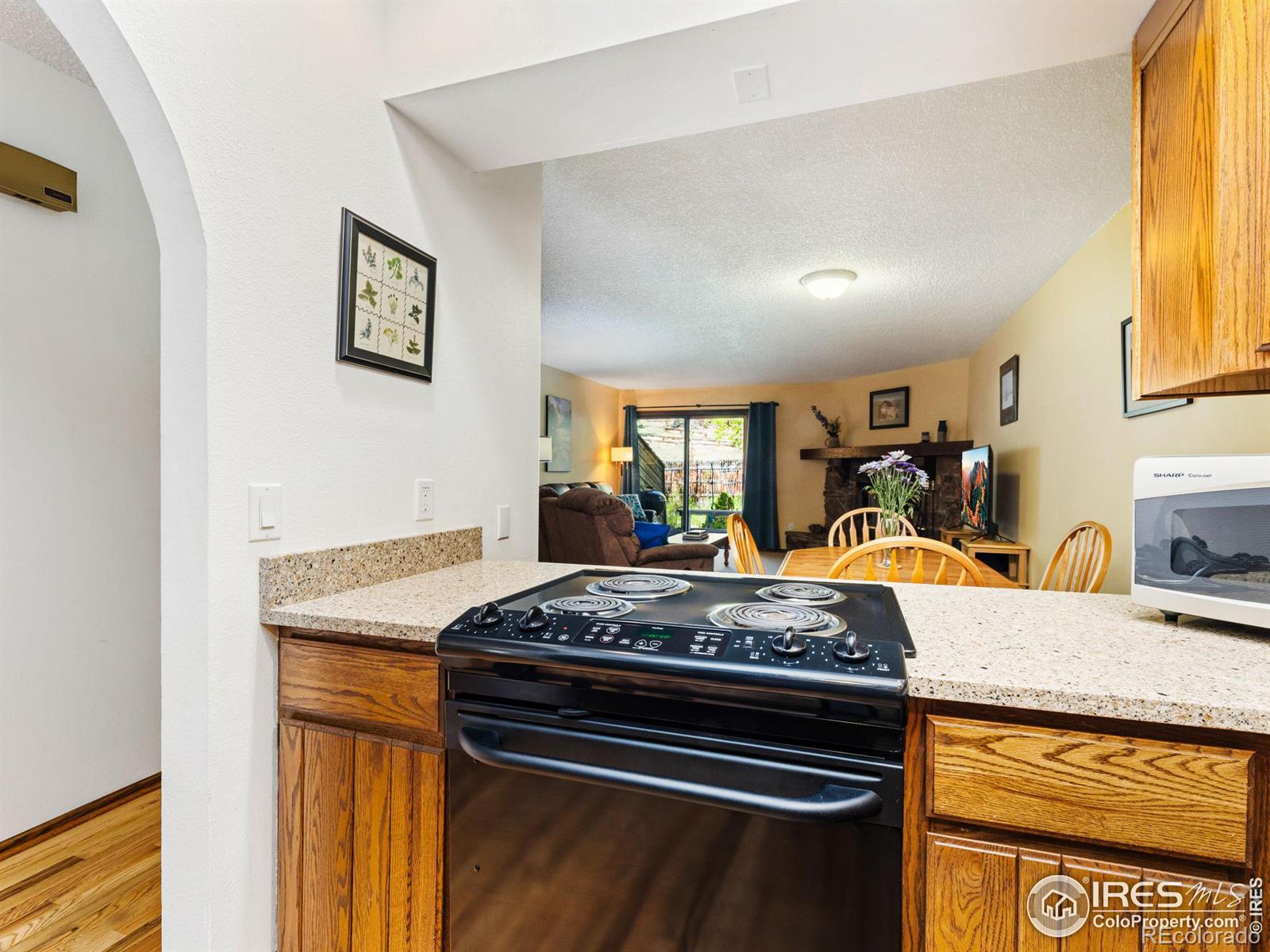 MLS Image #4 for 640  macgregor avenue,estes park, Colorado