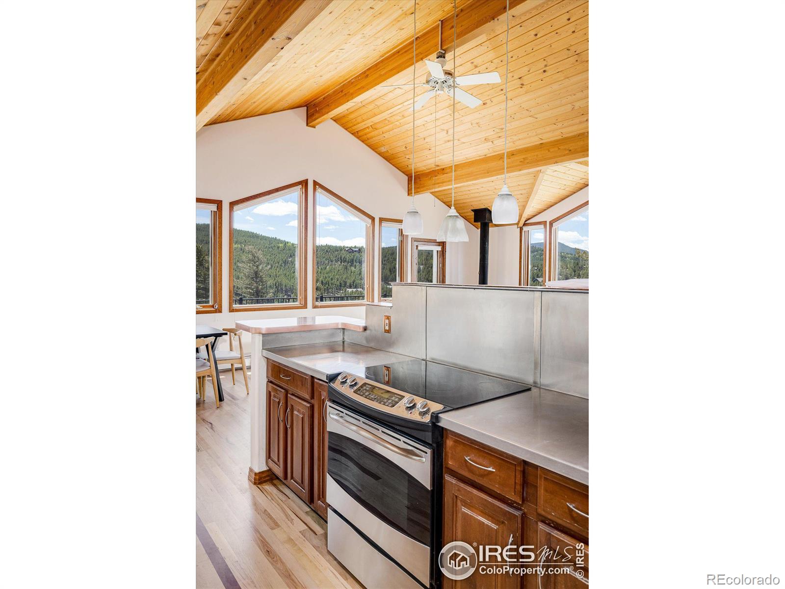 MLS Image #17 for 64  doe trail,nederland, Colorado