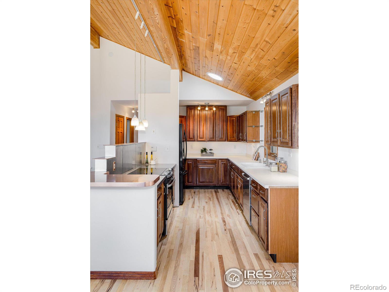 MLS Image #18 for 64  doe trail,nederland, Colorado