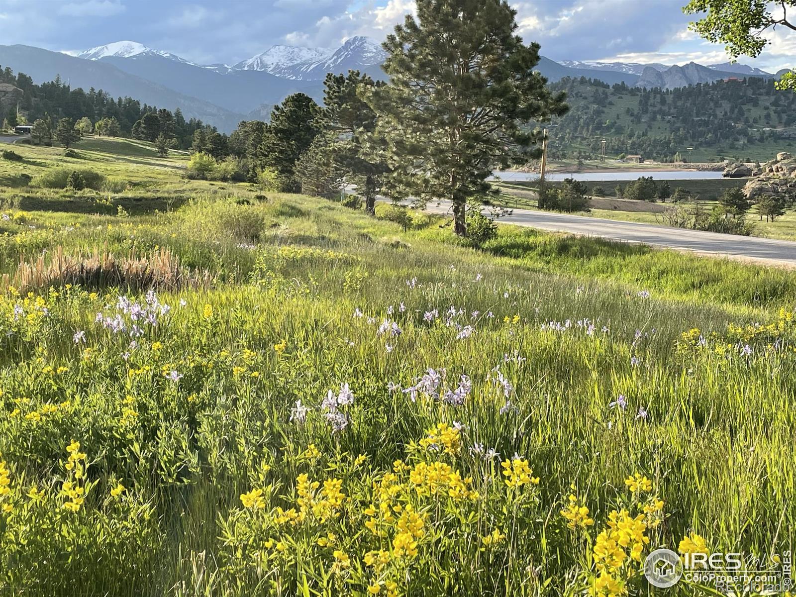 MLS Image #23 for 301  kiowa drive,estes park, Colorado