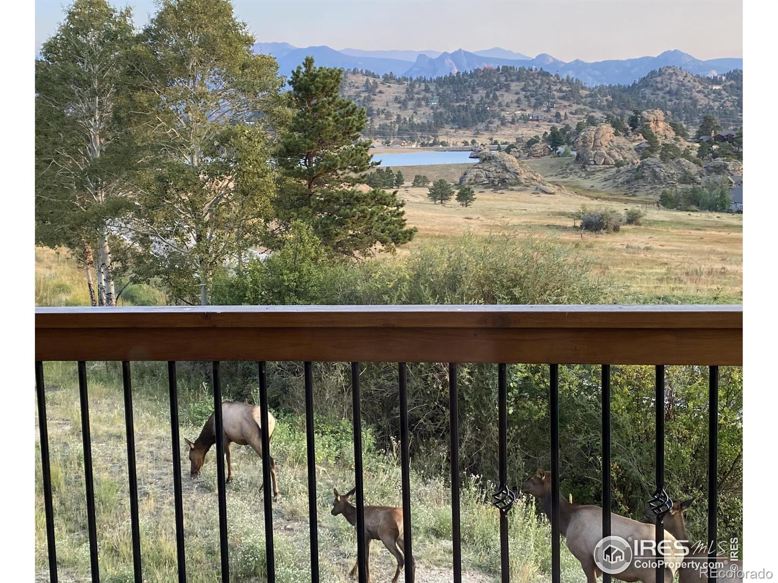 MLS Image #7 for 301  kiowa drive,estes park, Colorado