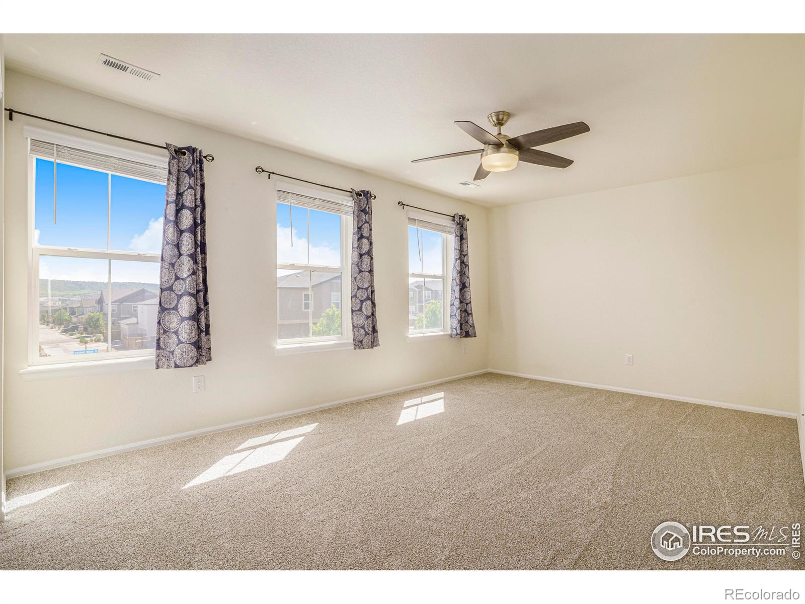 MLS Image #19 for 3335  ireland moss street,castle rock, Colorado