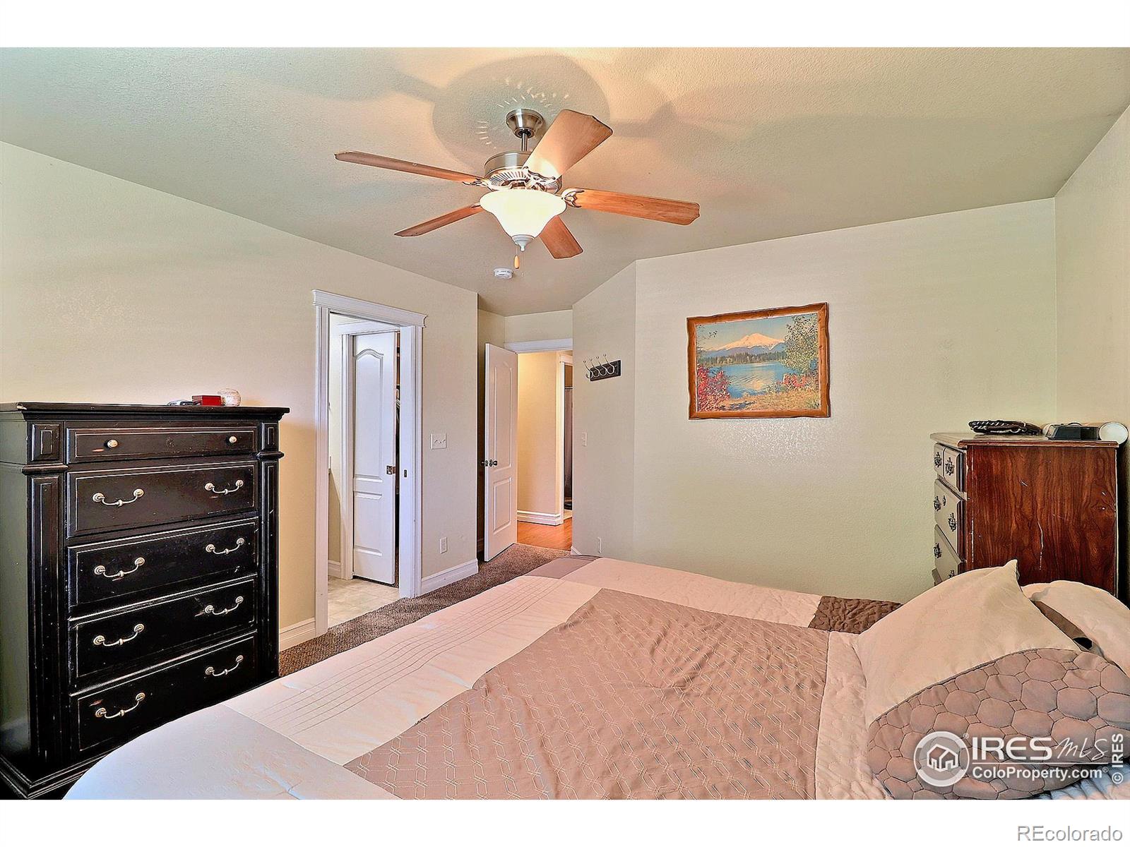 MLS Image #18 for 4312  paintbrush drive,evans, Colorado