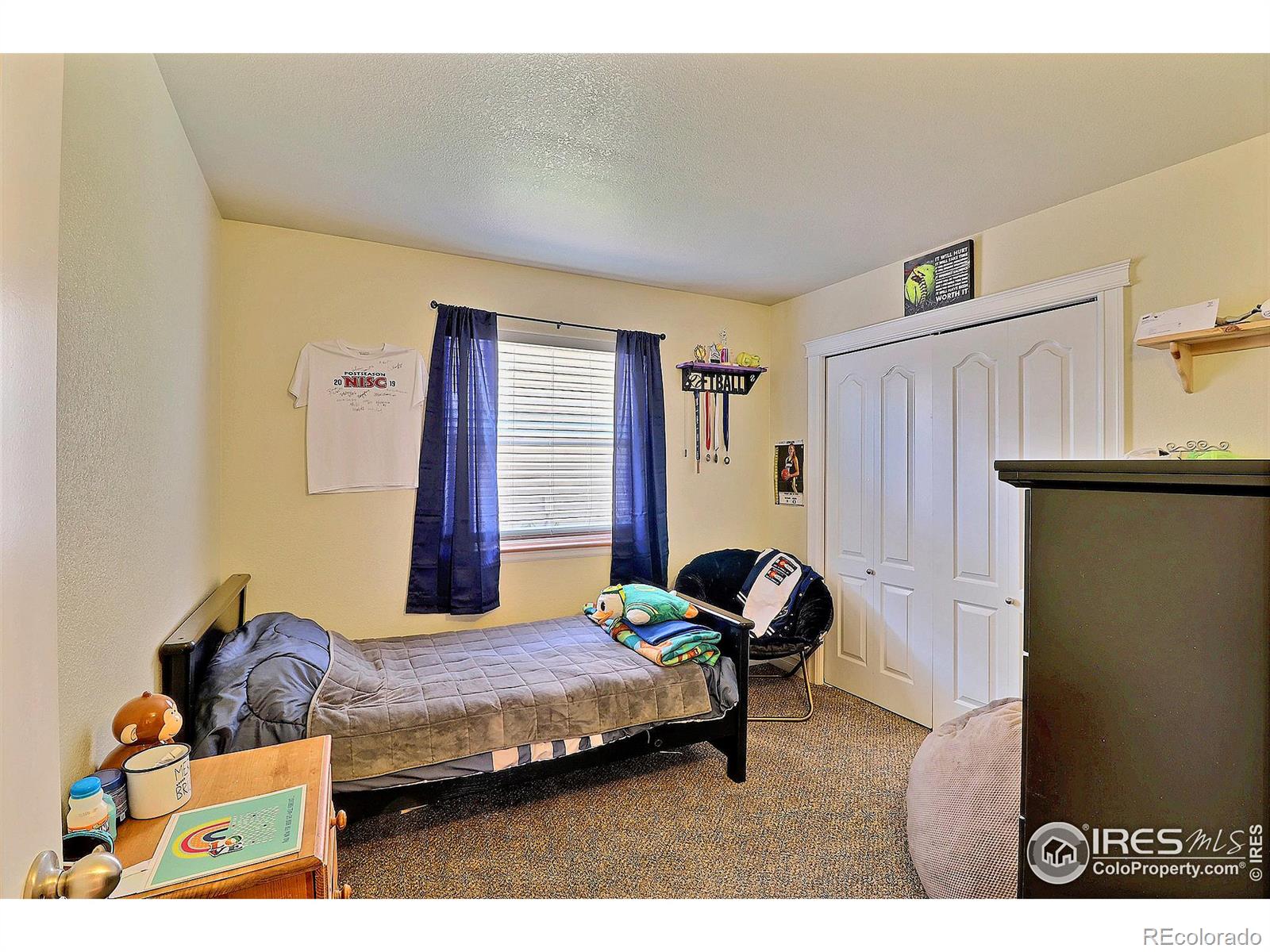 MLS Image #21 for 4312  paintbrush drive,evans, Colorado