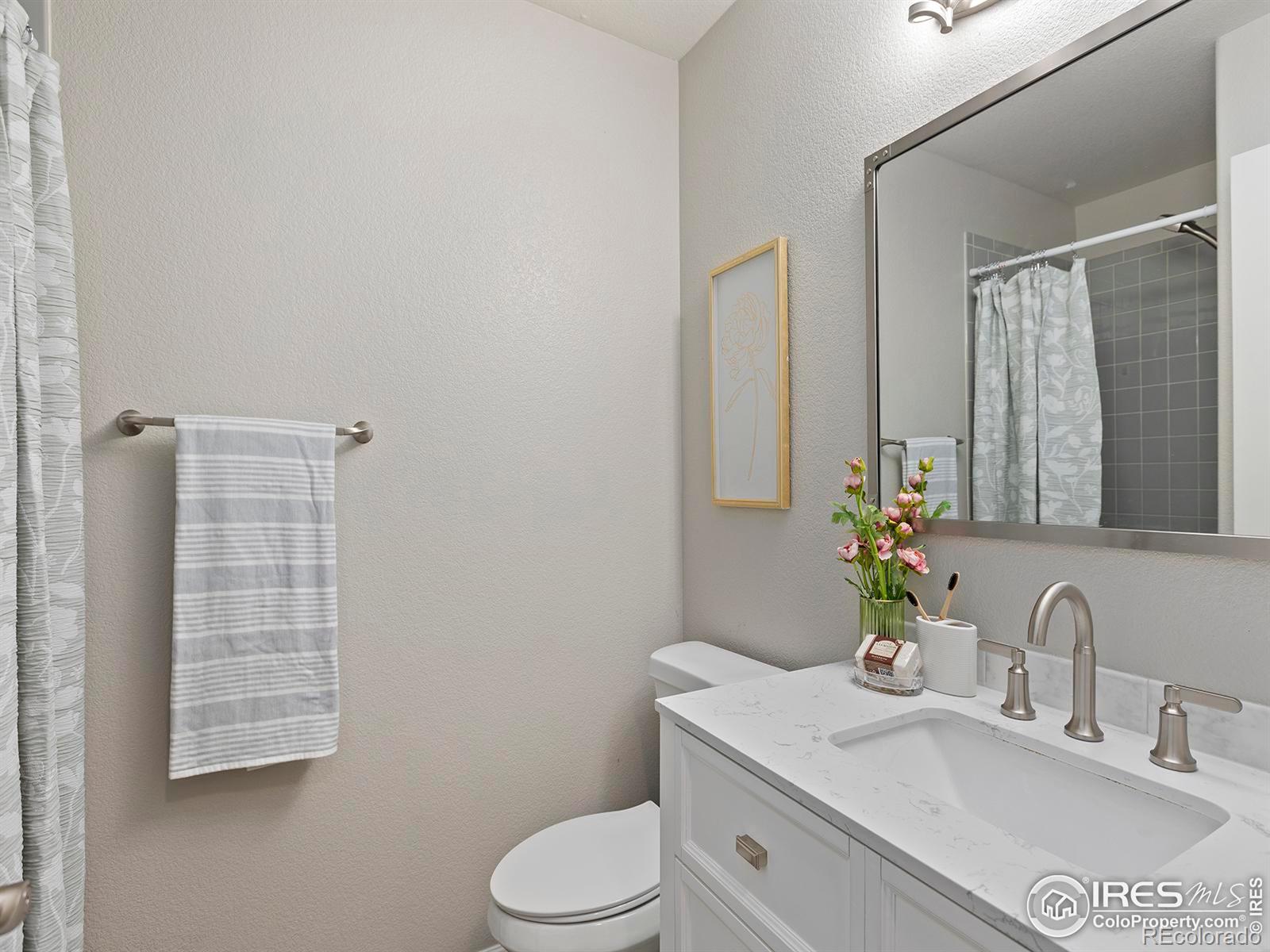 MLS Image #25 for 3604  mount ouray street,wellington, Colorado