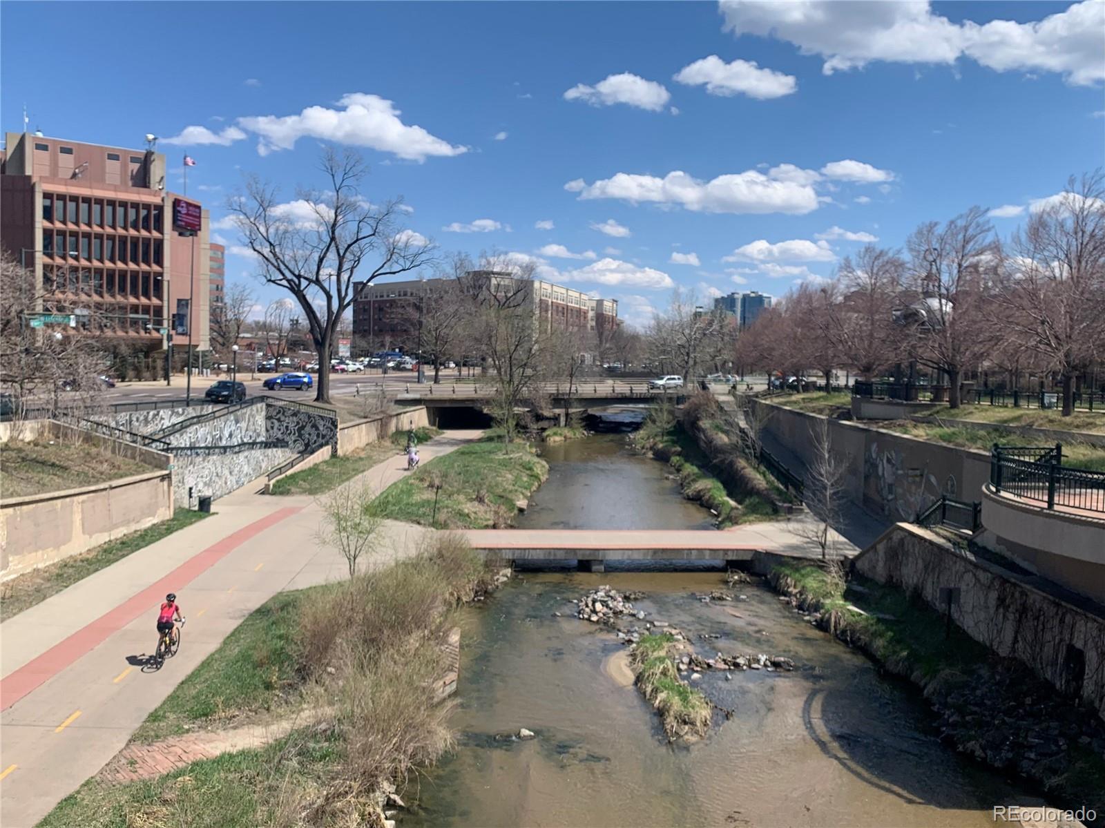 MLS Image #19 for 740 n sherman street,denver, Colorado