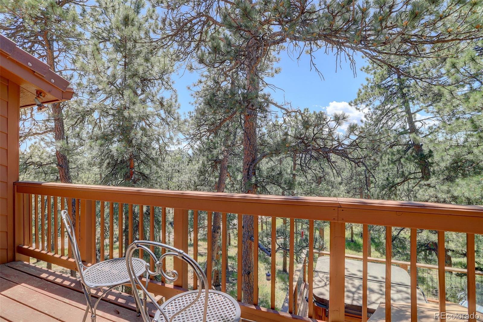 MLS Image #28 for 25684  bristlecone court,golden, Colorado