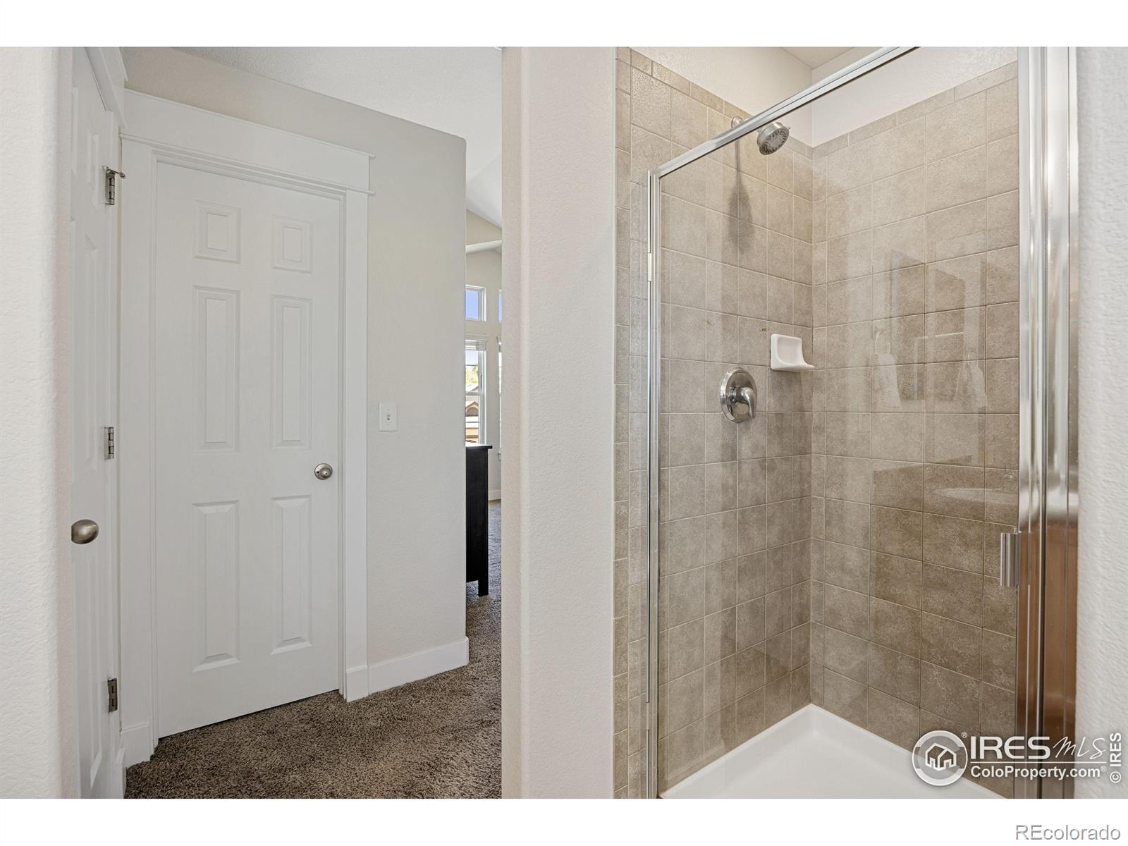 MLS Image #19 for 1415  reeves drive,fort collins, Colorado