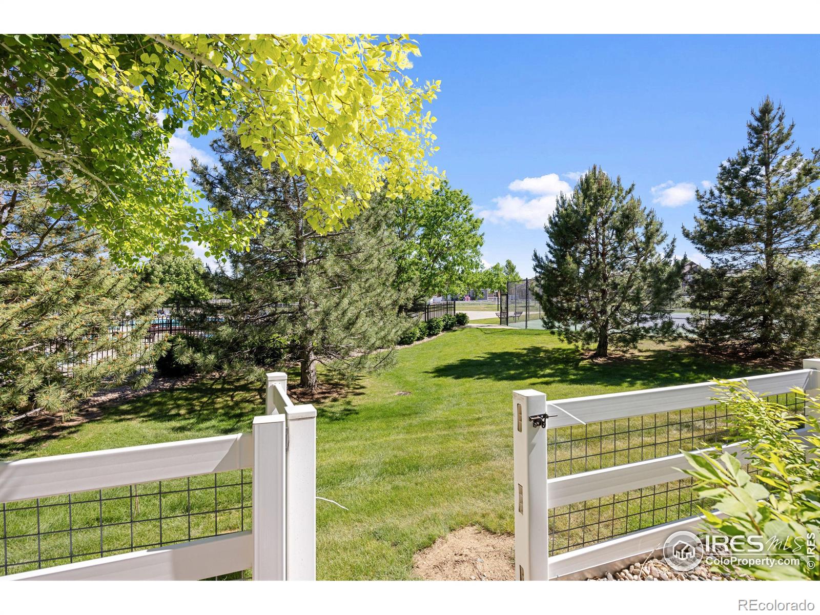 MLS Image #34 for 1415  reeves drive,fort collins, Colorado