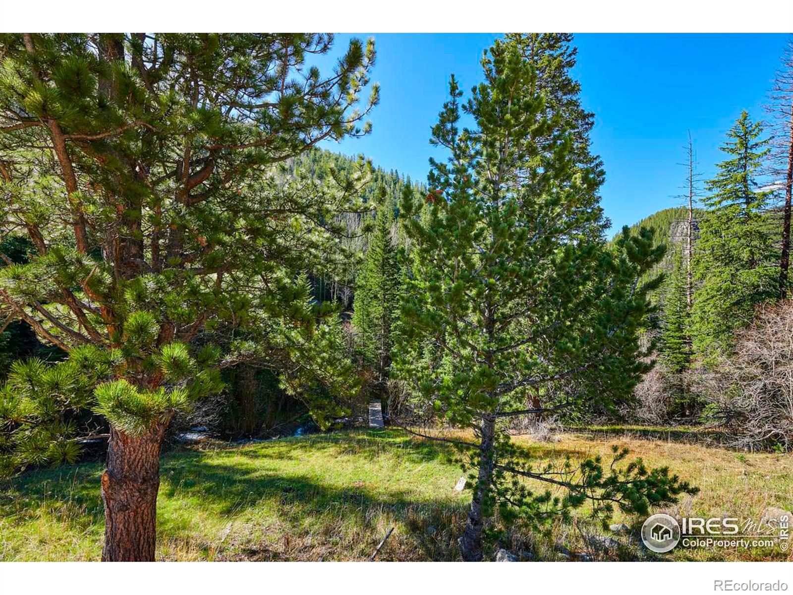 MLS Image #4 for 188  silver creek road,black hawk, Colorado