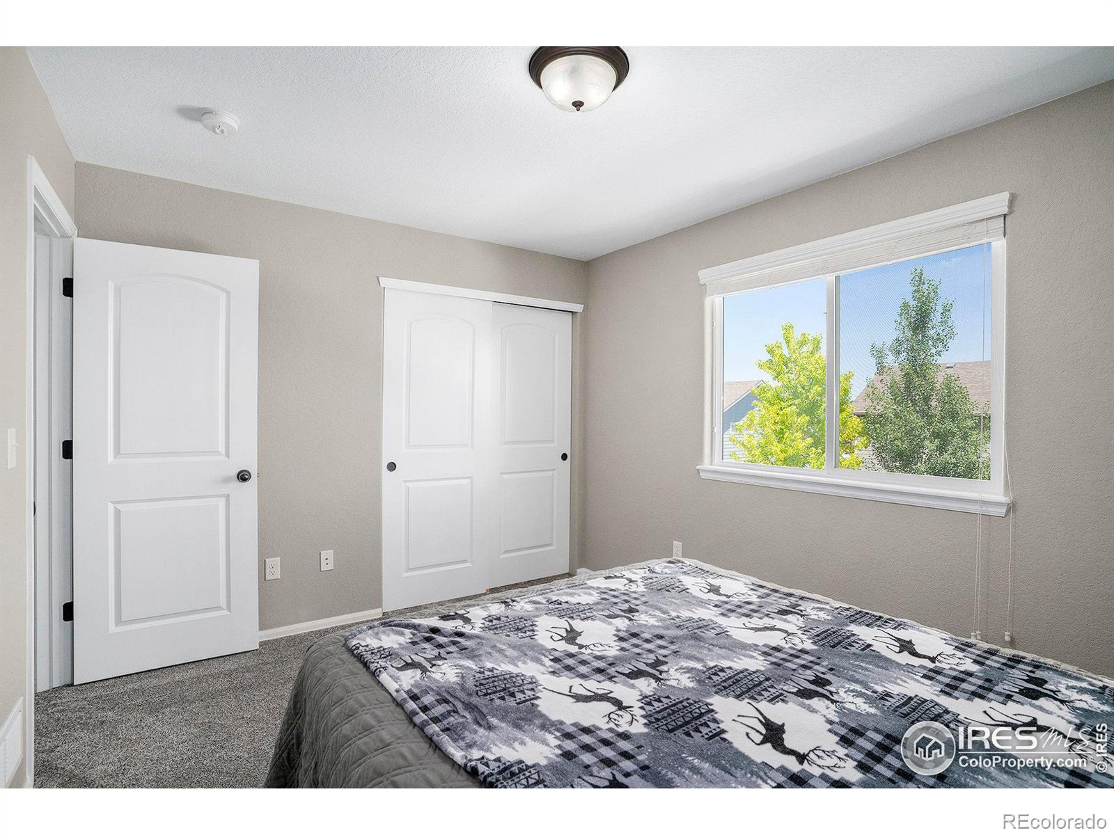 MLS Image #17 for 2506  lynnhaven lane,fort collins, Colorado