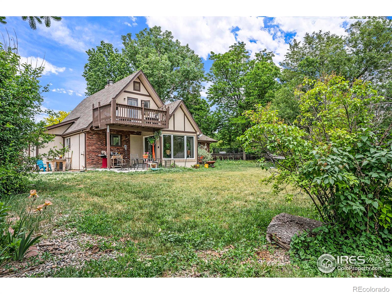 MLS Image #19 for 2114  illinois court,loveland, Colorado