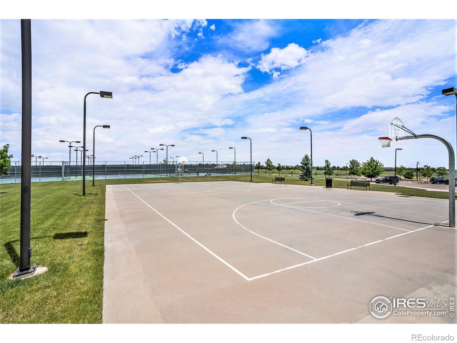 MLS Image #24 for 2114  illinois court,loveland, Colorado