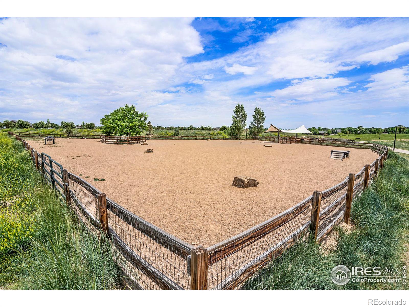 MLS Image #28 for 2114  illinois court,loveland, Colorado