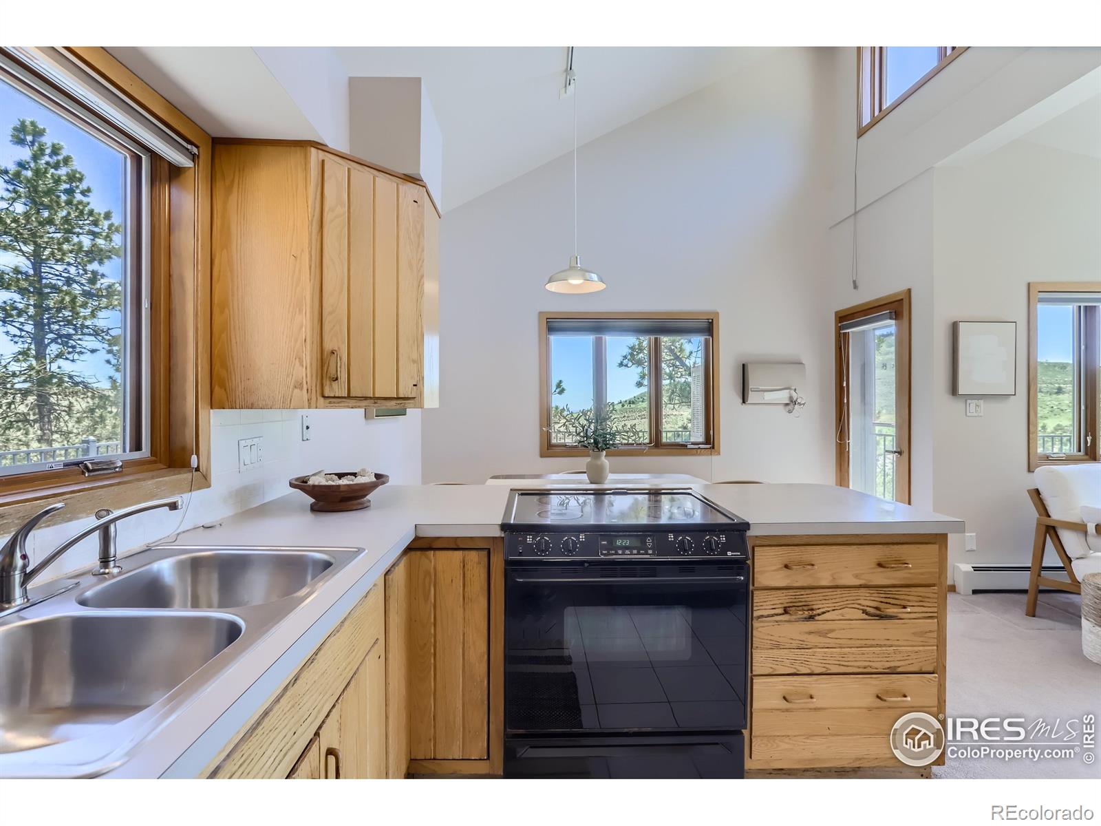 MLS Image #12 for 227  pyrite way,lyons, Colorado
