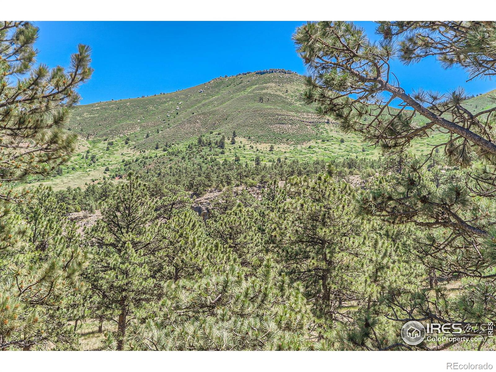 MLS Image #14 for 227  pyrite way,lyons, Colorado