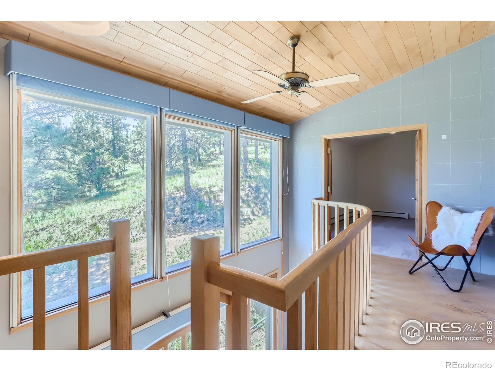 MLS Image #19 for 227  pyrite way,lyons, Colorado
