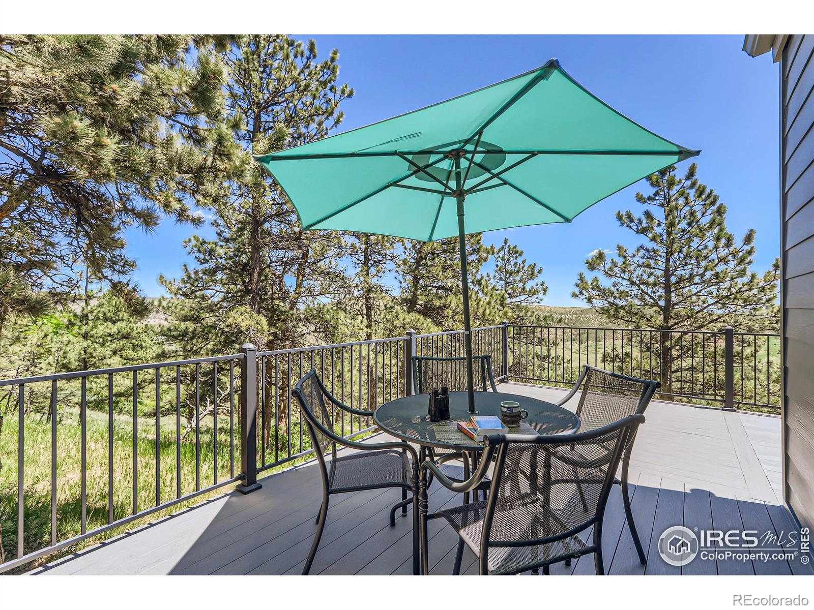 MLS Image #2 for 227  pyrite way,lyons, Colorado