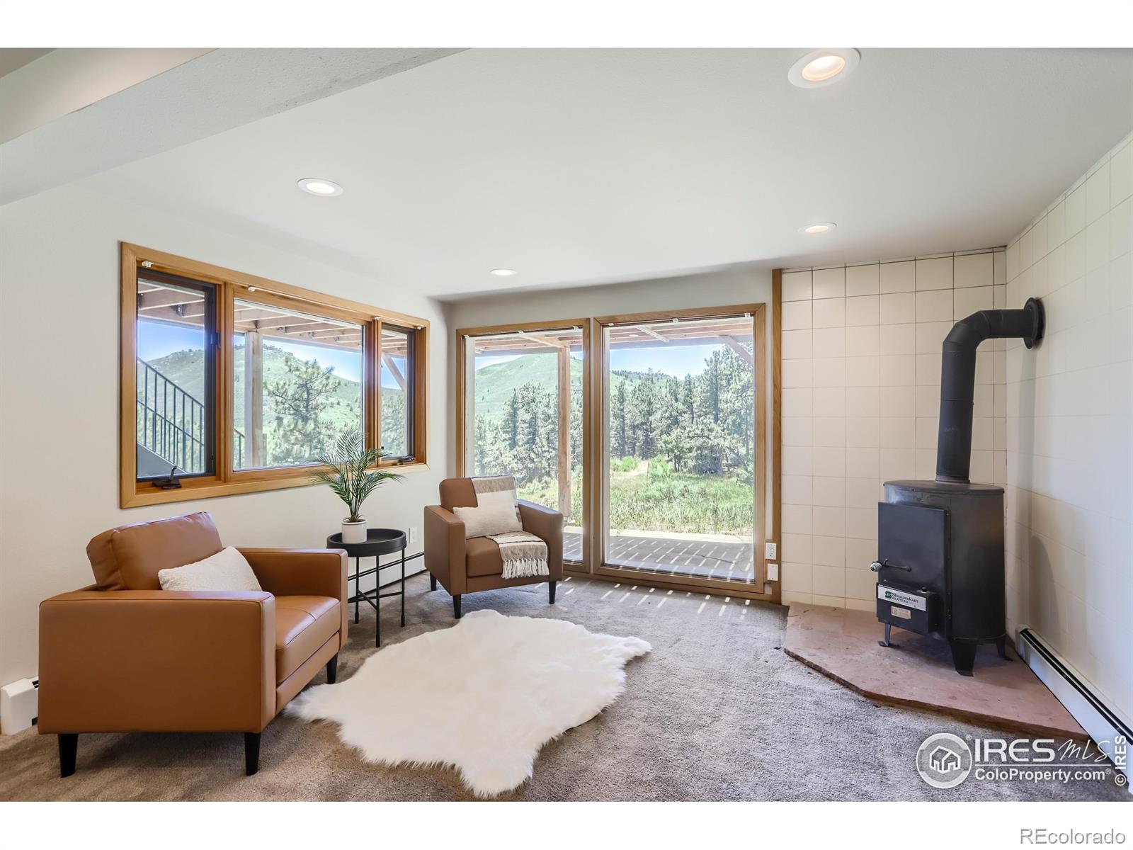 MLS Image #23 for 227  pyrite way,lyons, Colorado