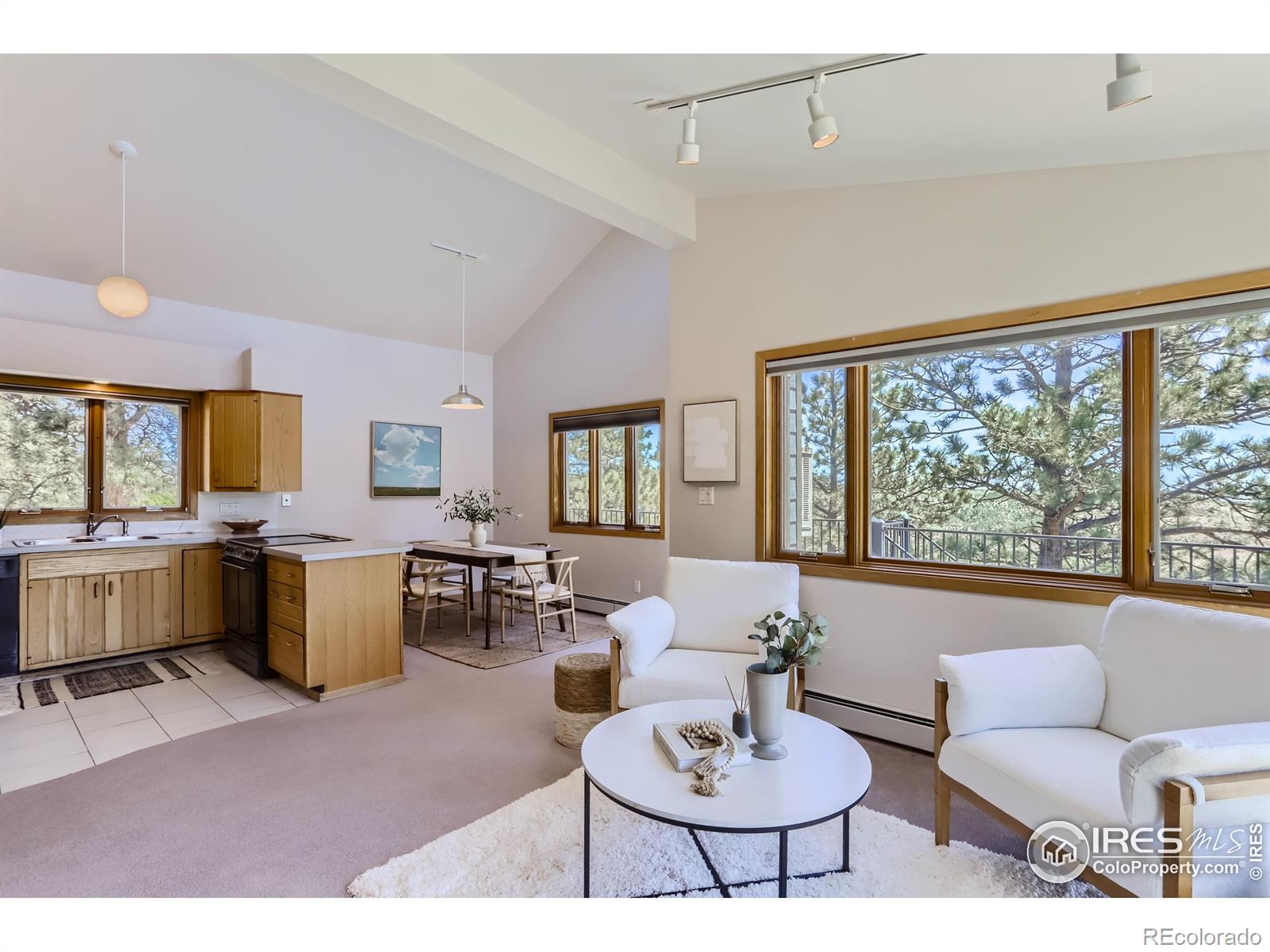 MLS Image #6 for 227  pyrite way,lyons, Colorado
