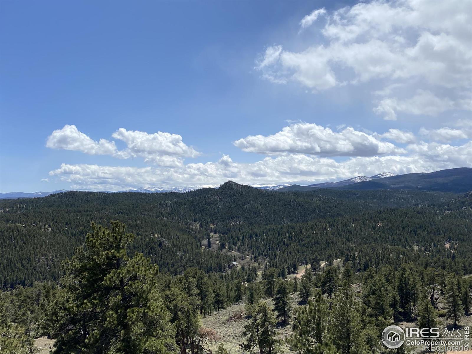 MLS Image #25 for 1074  caddo road,red feather lakes, Colorado