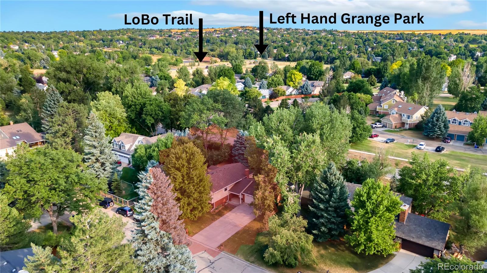 MLS Image #28 for 8160  rye court,niwot, Colorado