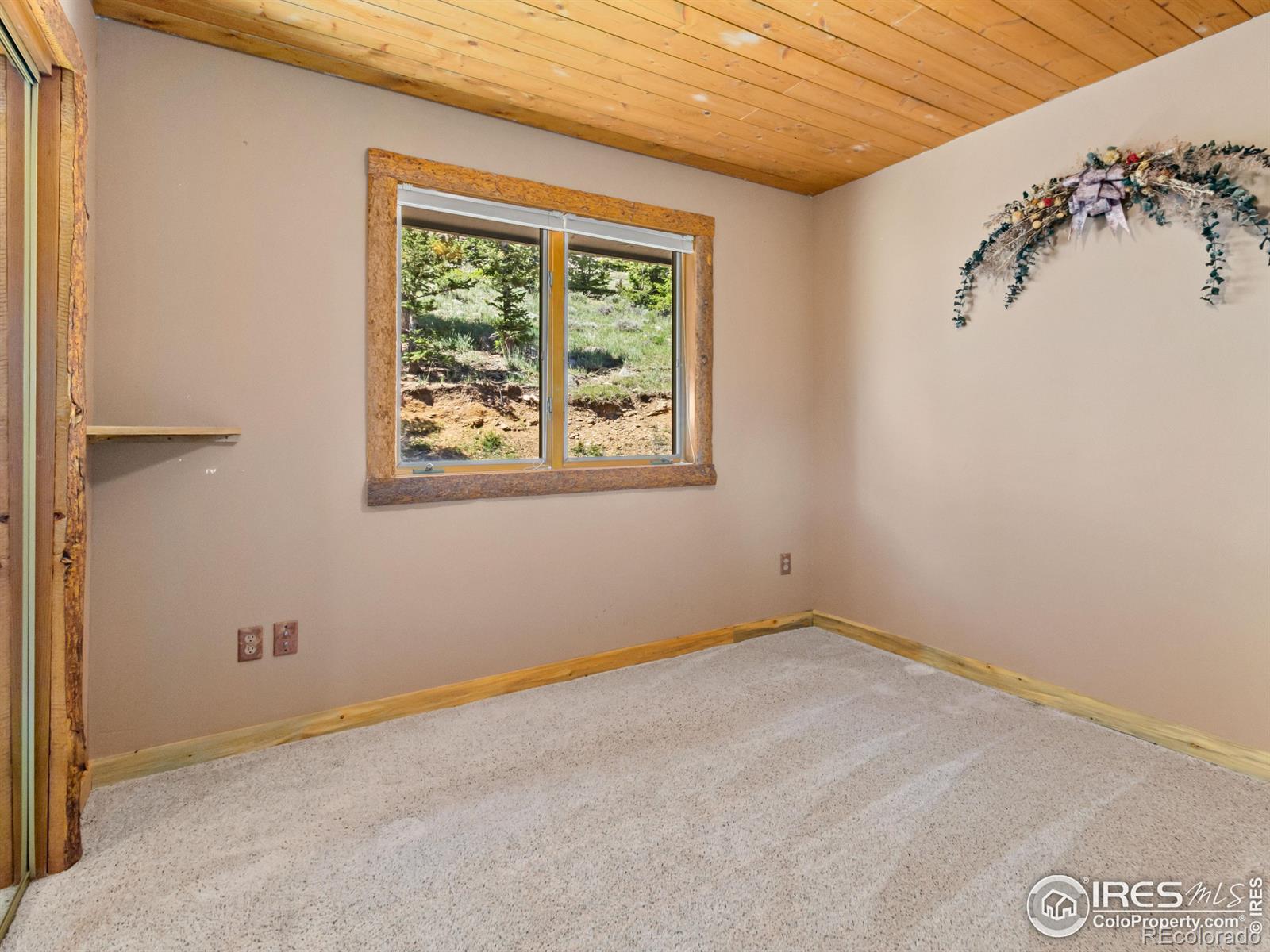 MLS Image #22 for 1263  giant track road,estes park, Colorado