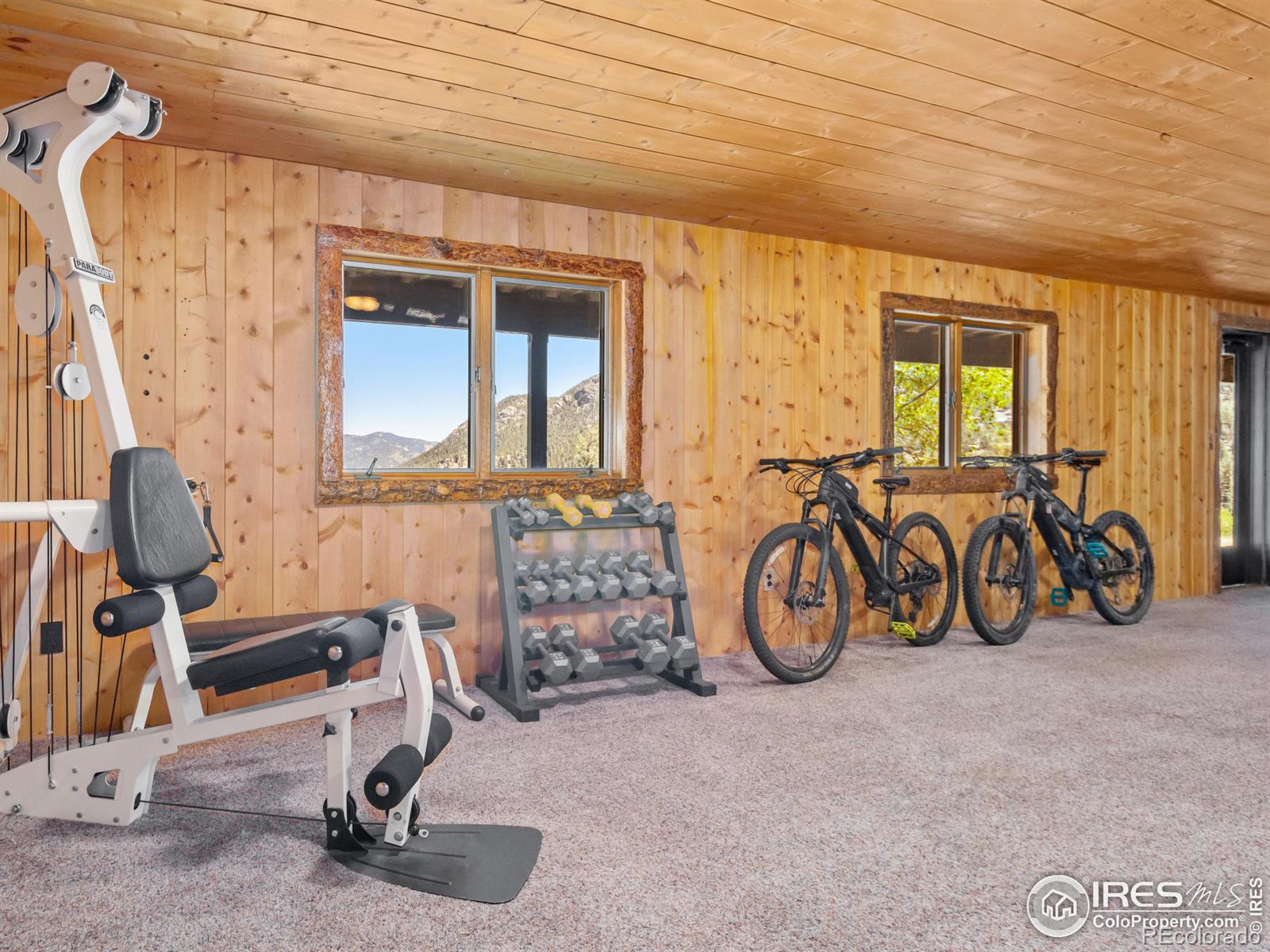 MLS Image #32 for 1263  giant track road,estes park, Colorado