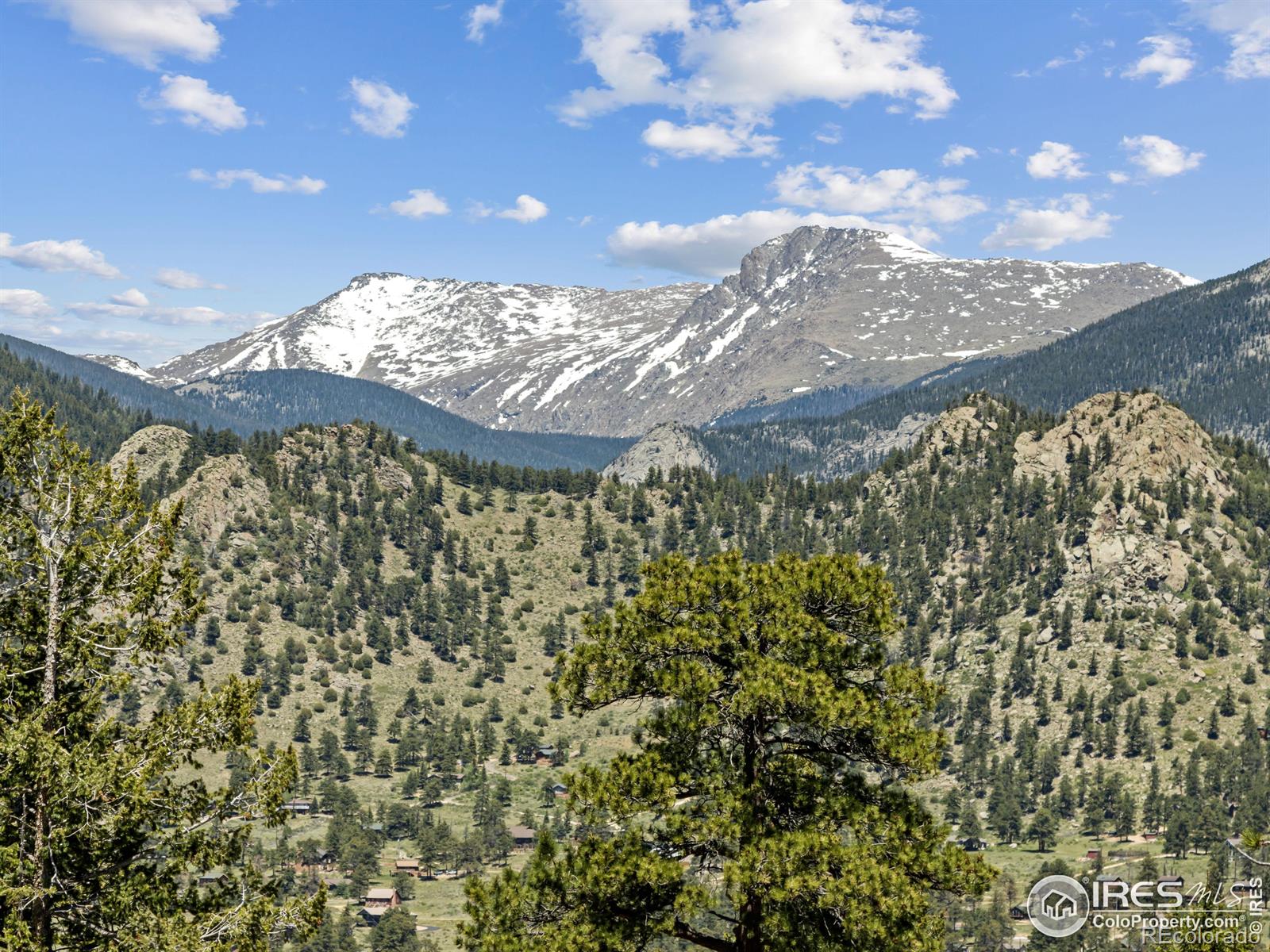 MLS Image #38 for 1263  giant track road,estes park, Colorado