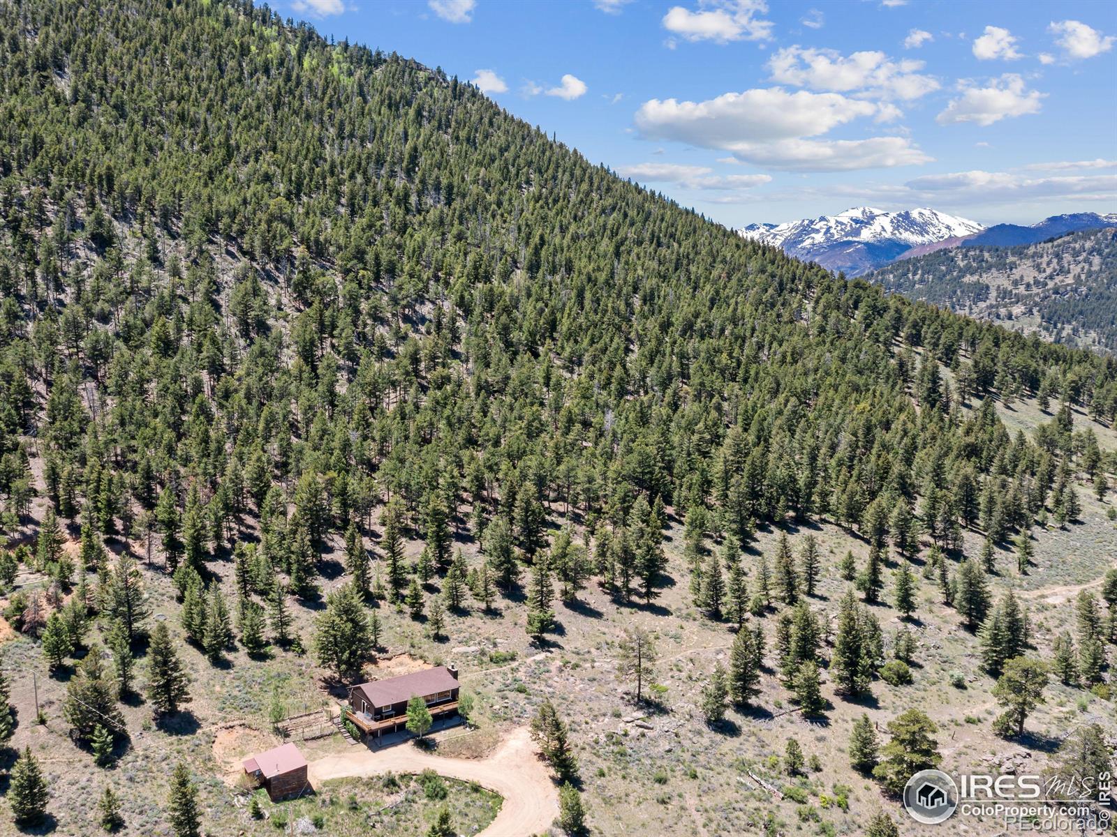 MLS Image #8 for 1263  giant track road,estes park, Colorado