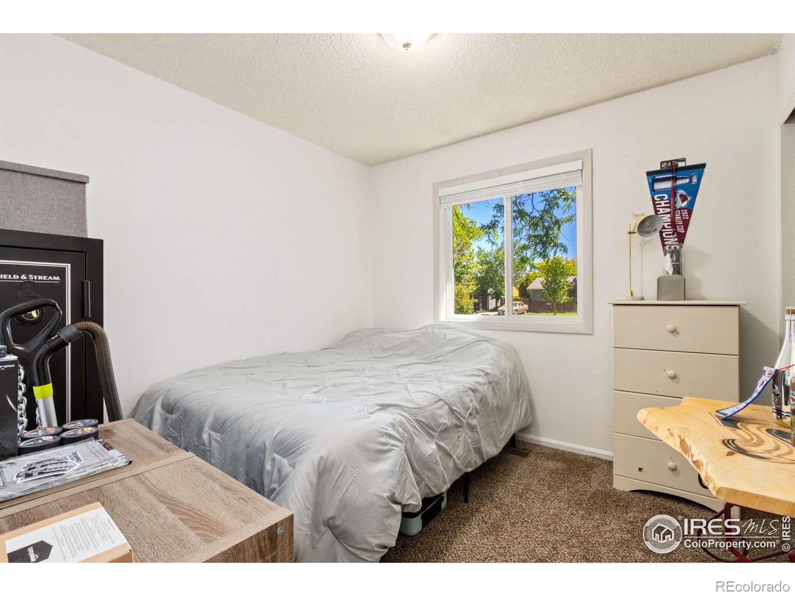 MLS Image #11 for 617 s estrella avenue,loveland, Colorado