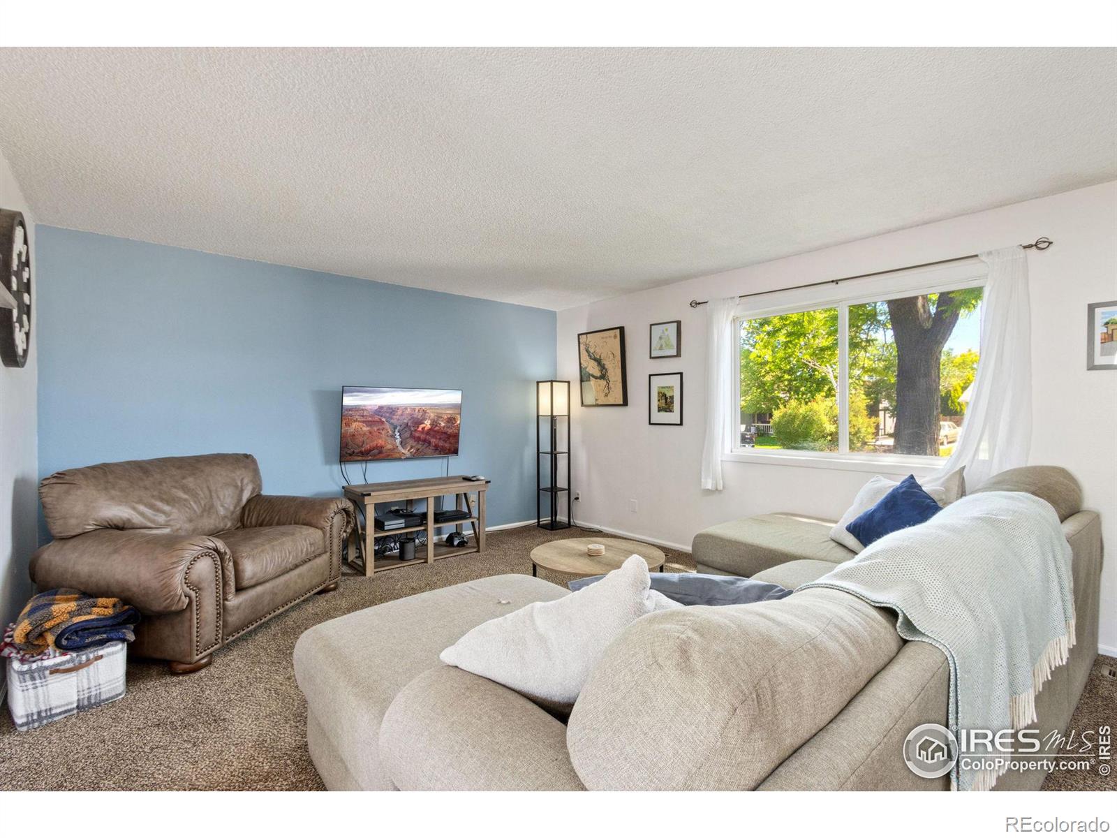 MLS Image #7 for 617 s estrella avenue,loveland, Colorado