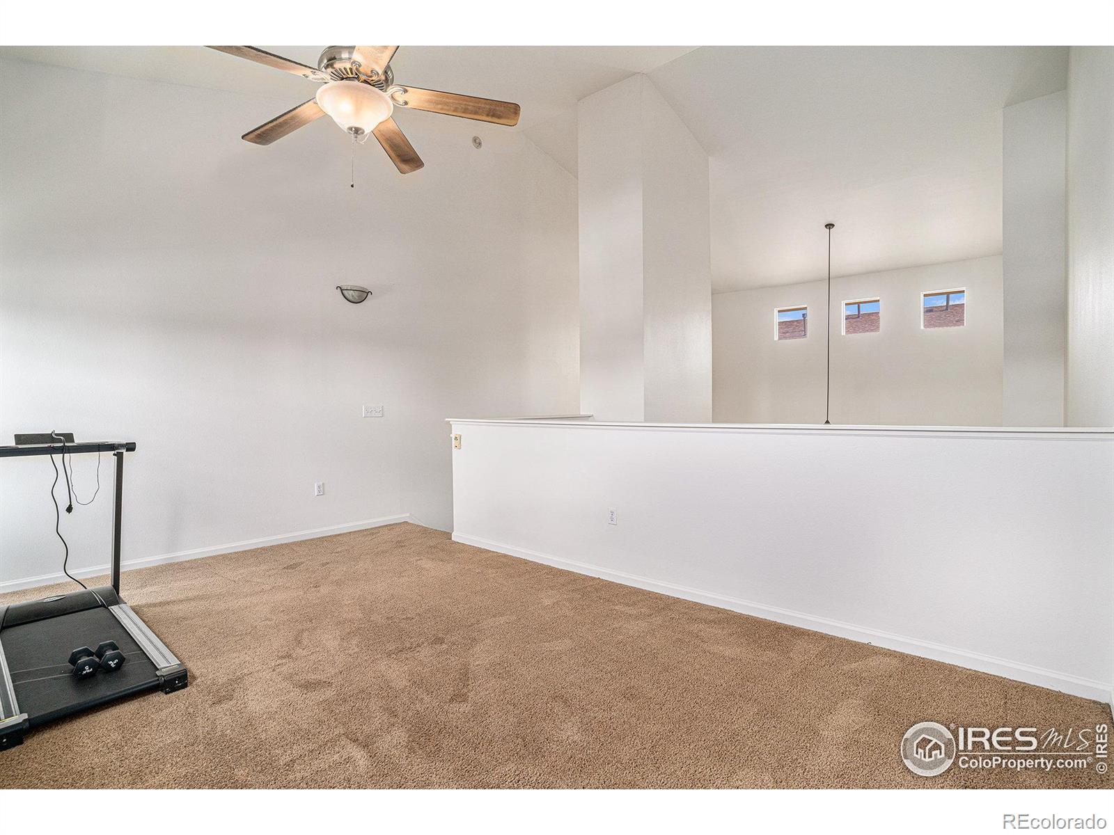 MLS Image #12 for 509  lucca drive,evans, Colorado